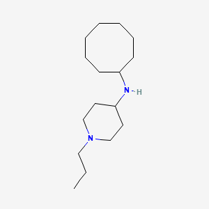 molecular formula C16H32N2 B5690926 N-cyclooctyl-1-propylpiperidin-4-amine 