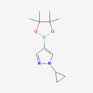 molecular formula C12H19BN2O2 B569206 1-Cyclopropyl-4-(4,4,5,5-tetramethyl-1,3,2-dioxaborolan-2-yl)-1H-pyrazole CAS No. 1151802-22-0