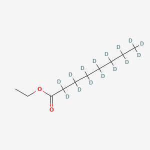 molecular formula C10H20O2 B569263 Ethyl octanoate-d15 
