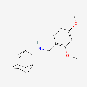 molecular formula C19H27NO2 B5693072 N-[(2,4-dimethoxyphenyl)methyl]adamantan-2-amine 