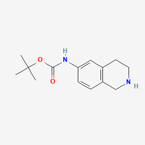 molecular formula C14H20N2O2 B569446 tert-Butyl (1,2,3,4-tetrahydroisoquinolin-6-yl)carbamate CAS No. 885273-75-6