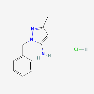 molecular formula C11H14ClN3 B569642 1-Benzyl-3-methyl-1H-pyrazol-5-amine hydrochloride CAS No. 1195671-98-7