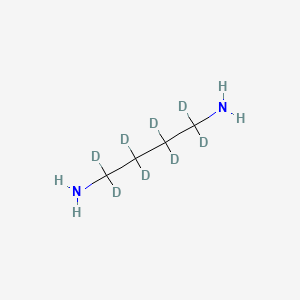 molecular formula C4H12N2 B569718 1,4-Butane-D8-diamine CAS No. 709608-92-4