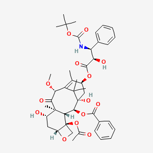 B569795 10-Methyl docetaxel CAS No. 160084-81-1