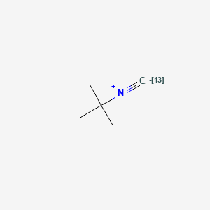 molecular formula C5H9N B569834 2-methyl-2-(113C)methylidyneazaniumylpropane CAS No. 116571-79-0