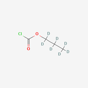 molecular formula C4H7ClO2 B569999 Propyl Chloroformate-d7 CAS No. 1228182-42-0