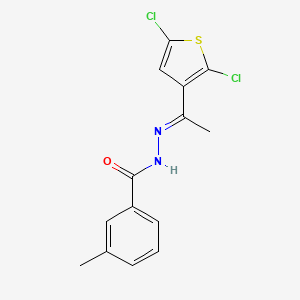 molecular formula C14H12Cl2N2OS B5699990 N'-[1-(2,5-dichloro-3-thienyl)ethylidene]-3-methylbenzohydrazide 