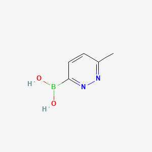 molecular formula C5H7BN2O2 B570003 (6-Methylpyridazin-3-yl)boronic acid CAS No. 1258867-68-3