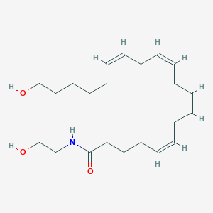molecular formula C22H37NO3 B570077 20-HETE Ethanolamide CAS No. 942069-11-6