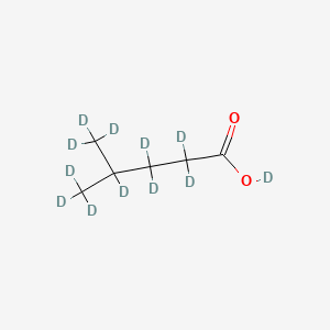 4-Methylpentanoic acid-D12