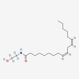 molecular formula C20H37NO2 B570264 Linoleoyl ethanolamide-d4 