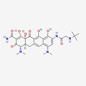 molecular formula C29H37N5O8 B570424 5,6-Dehydro-Tigecycline CAS No. 1633815-62-9