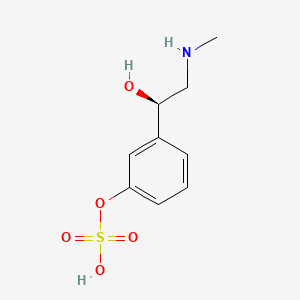 Phenylephrine-3-O-sulfate