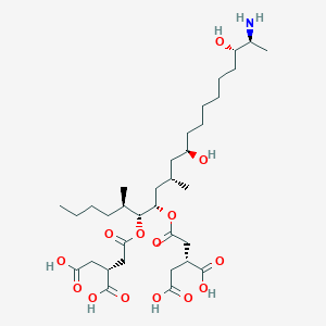 molecular formula C34H59NO14 B570569 (2R)-2-[2-[(5R,6R,7S,9S,11R,18S,19S)-19-amino-6-[(3R)-3,4-dicarboxybutanoyl]oxy-11,18-dihydroxy-5,9-dimethylicosan-7-yl]oxy-2-oxoethyl]butanedioic acid CAS No. 1422359-85-0
