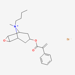 molecular formula C21H28BrNO3 B570744 Apobuscopan CAS No. 92714-23-3