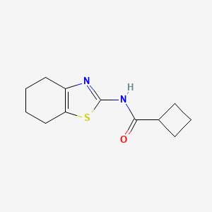 molecular formula C12H16N2OS B5710725 N-(4,5,6,7-tetrahydrobenzo[d]thiazol-2-yl)cyclobutanecarboxamide 