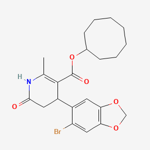 molecular formula C22H26BrNO5 B5712575 CYCLOOCTYL 4-(6-BROMO-2H-1,3-BENZODIOXOL-5-YL)-2-METHYL-6-OXO-1,4,5,6-TETRAHYDROPYRIDINE-3-CARBOXYLATE 