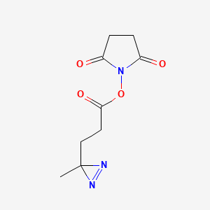 molecular formula C9H11N3O4 B571370 2,5-dioxopyrrolidin-1-yl 3-(3-methyl-3H-diazirin-3-yl)propanoate CAS No. 1239017-80-1