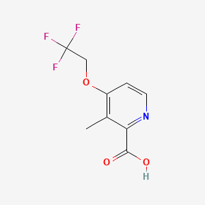3-Methyl-4-(2,2,2-trifluoroethoxy)-2-pyridinecarboxylic acid