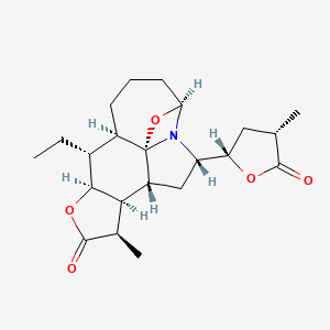molecular formula C22H31NO5 B571486 Sessilifoline A 