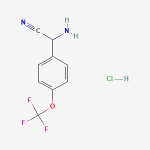 molecular formula C9H8ClF3N2O B571524 2-Amino-2-[4-(trifluoromethoxy)phenyl]acetonitrile hydrochloride CAS No. 1375474-19-3