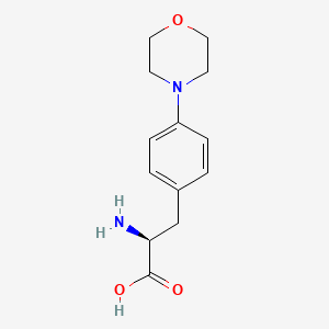 molecular formula C13H18N2O3 B571542 4-Morpholino-L-phenylalanine CAS No. 1270153-04-2