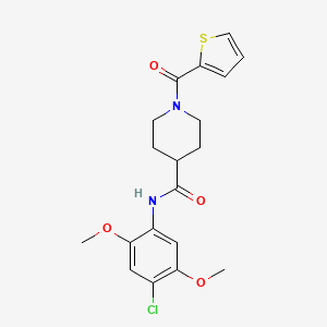 molecular formula C19H21ClN2O4S B5715785 N-(4-chloro-2,5-dimethoxyphenyl)-1-(thiophene-2-carbonyl)piperidine-4-carboxamide 