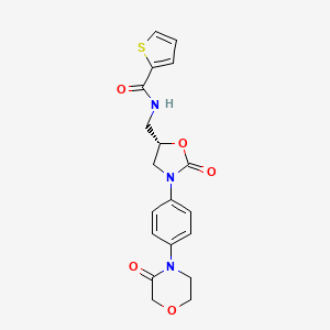 molecular formula C19H19N3O5S B571597 (S)-N-((2-氧代-3-(4-(3-氧代吗啉)苯基)恶唑烷-5-基)甲基)噻吩-2-甲酰胺 CAS No. 1415566-28-7