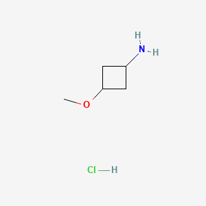 molecular formula C5H12ClNO B571627 trans-3-Methoxycyclobutanamine hydrochloride CAS No. 1404373-83-6