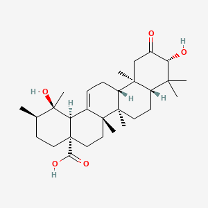 molecular formula C30H46O5 B571628 2-氧杂齐墩果酸 CAS No. 54963-52-9