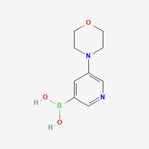 molecular formula C9H13BN2O3 B571805 5-Morpholinopyridin-3-ylboronic acid CAS No. 1215107-26-8