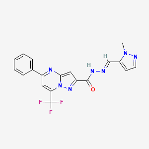 molecular formula C19H14F3N7O B5718151 N'~2~-[(E)-1-(1-METHYL-1H-PYRAZOL-5-YL)METHYLIDENE]-5-PHENYL-7-(TRIFLUOROMETHYL)PYRAZOLO[1,5-A]PYRIMIDINE-2-CARBOHYDRAZIDE 