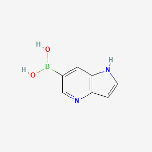 molecular formula C7H7BN2O2 B571847 (1H-吡咯并[3,2-b]吡啶-6-基)硼酸 CAS No. 1253911-17-9