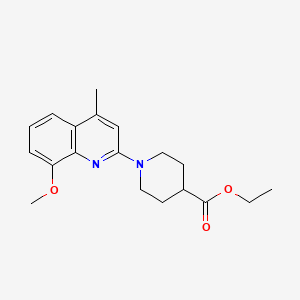 molecular formula C19H24N2O3 B5718501 Ethyl 1-(8-methoxy-4-methylquinolin-2-yl)piperidine-4-carboxylate 