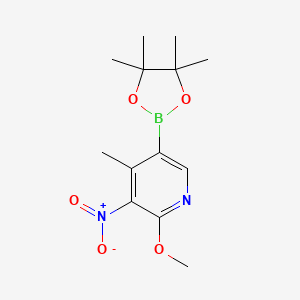 molecular formula C13H19BN2O5 B571926 2-Methoxy-4-methyl-3-nitro-5-(4,4,5,5-tetramethyl-1,3,2-dioxaborolan-2-yl)pyridine CAS No. 1310384-94-1