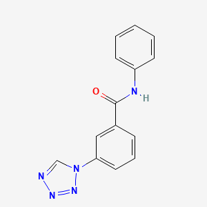 molecular formula C14H11N5O B5720918 N-phenyl-3-(1H-tetrazol-1-yl)benzamide 