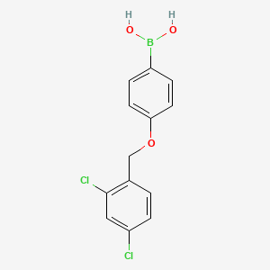 molecular formula C13H11BCl2O3 B572102 4-(2,4-Dichlorophenylmethoxy)phenylboronic acid CAS No. 1256355-75-5