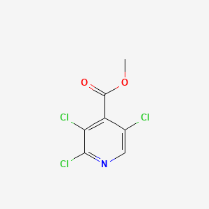molecular formula C7H4Cl3NO2 B572135 Methyl 2,3,5-trichloroisonicotinate CAS No. 1221791-65-6