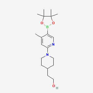 molecular formula C19H31BN2O3 B572141 2-(1-(4-Methyl-5-(4,4,5,5-tetramethyl-1,3,2-dioxaborolan-2-yl)pyridin-2-yl)piperidin-4-yl)ethanol CAS No. 1353742-98-9