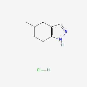 molecular formula C8H13ClN2 B572227 5-methyl-4,5,6,7-tetrahydro-2h-indazole, hcl CAS No. 1226808-56-5