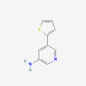 molecular formula C9H8N2S B572245 5-(Thiophen-2-yl)pyridin-3-amine CAS No. 1226415-45-7