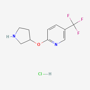 molecular formula C10H12ClF3N2O B572365 2-(Pyrrolidin-3-yloxy)-5-(trifluoromethyl)pyridine hydrochloride CAS No. 1220016-29-4