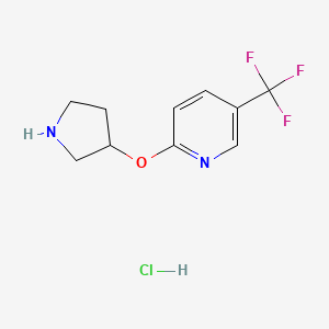 molecular formula C10H12ClF3N2O B572365 2-(3-Pyrrolidinyloxy)-5-(trifluoromethyl)pyridine hydrochloride CAS No. 1220016-29-4