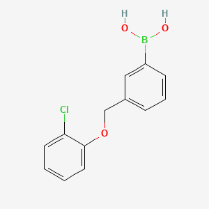 molecular formula C13H12BClO3 B572366 (3-((2-Chlorophenoxy)methyl)phenyl)boronic acid CAS No. 1256358-67-4