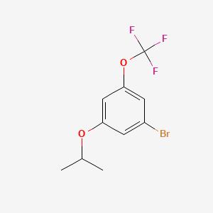 B572406 1-Bromo-3-isopropoxy-5-(trifluoromethoxy)benzene CAS No. 1221793-61-8