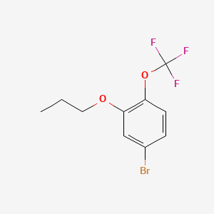 molecular formula C10H10BrF3O2 B572464 4-Bromo-2-propoxy-1-(trifluoromethoxy)benzene CAS No. 1355248-26-8
