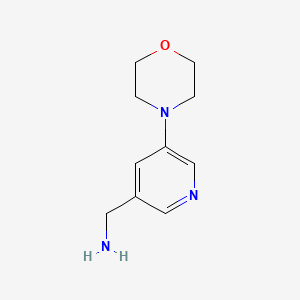 molecular formula C10H15N3O B572513 (5-Morpholinopyridin-3-yl)methanamine CAS No. 1211519-07-1