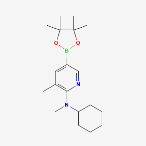 molecular formula C19H31BN2O2 B572625 n-Cyclohexyl-n,3-dimethyl-5-(4,4,5,5-tetramethyl-1,3,2-dioxaborolan-2-yl)pyridin-2-amine CAS No. 1351995-01-1