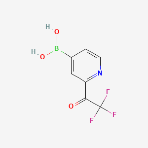 molecular formula C7H5BF3NO3 B572664 (2-(2,2,2-Trifluoroacetyl)pyridin-4-yl)boronic acid CAS No. 1310404-58-0