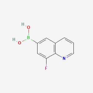 molecular formula C9H7BFNO2 B572679 (8-Fluoroquinolin-6-yl)boronic acid CAS No. 1210048-29-5